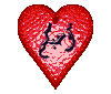 husa